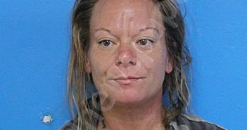 PARSONS, JENNIFER RENEE | 2024-09-12 10:43:00 Sullivan County, Tennessee Booking