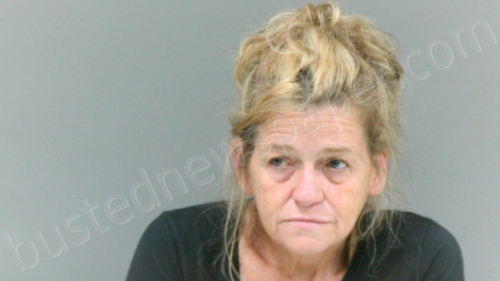 WALLACE, LISA BAILEY #, Boone County, West Virginia - 2024-09-13 01:21:00