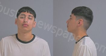 <B>GARCIA</B>, JOSE <B>ARMANDO</B> #, Hidalgo County, Texas - 2024-09-13