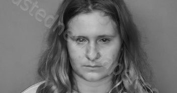 ELLSWORTH, DANETTE NICOLE | 2024-09-13 07:40:00 Hillsdale County, Michigan Booking