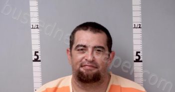 KING, MICHAEL JOHN | 2024-09-14 20:11:00 Gratiot County, Michigan Booking