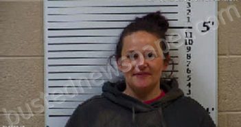 PANTHER, TIFFANY MARIE | 2024-09-14 12:36:00 Cherokee County, North Carolina Booking