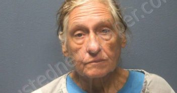 <B>THOMAS</B>, <B>PATRICIA</B> A #, Sevier County, Tennessee - 2024-09-17 07:28:00