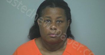 <B>ROBIN</B> <B>ARLETHA</B> <B>STELL</B> #, Beaufort County, South Carolina - 2024-09-18 05:10:44