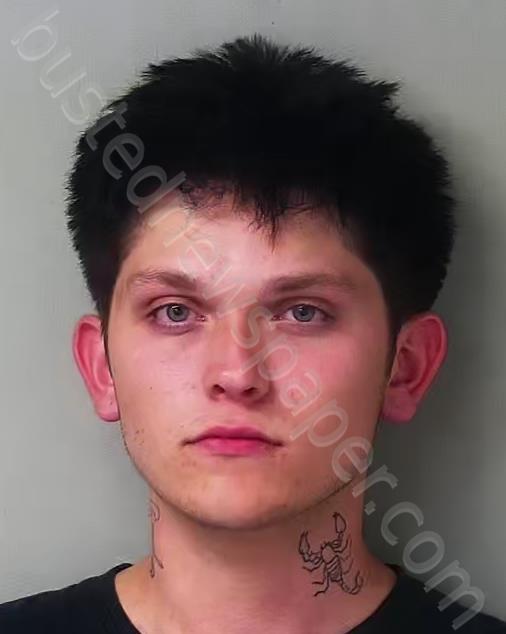 DORNBUSH, JOSEPH CHRISTIAN JAMES #, Hillsdale County, Michigan - 2024-09-18 00:44:00