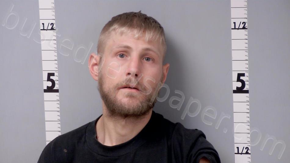 BRAUHER, TRAVIS ROBERT #, Gratiot County, Michigan - 2024-09-18 14:47:00