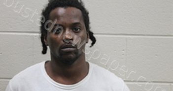 JEREMY DUJUAN DAVIS | 2024-09-19 21:50:00 Andrew County, Missouri Booking