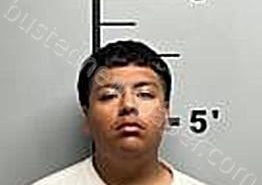 <B>RICO</B>, <B>MIGUEL</B> <B>ANGEL</B> #, Benton County, Arkansas - 2024-09-20