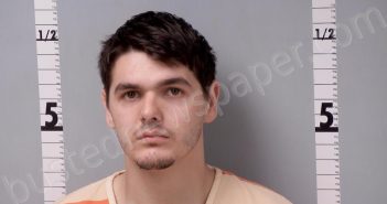 KILLIPS, ANDREW MICHAEL-ROBERT | 2024-09-20 08:48:00 Gratiot County, Michigan Booking
