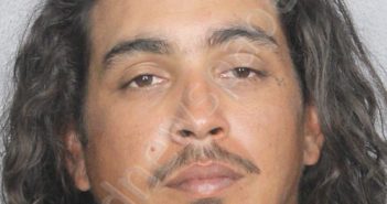 <B>HANNA</B>, <B>TRAVIS</B> <B>AJODHIA</B> #, Broward County, Florida - 2024-09-21