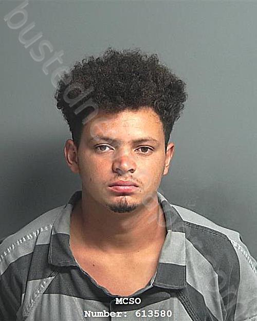 SARAVIA-MARTINEZ, LUIS G #, Montgomery County, Texas - 2024-09-22 07:33:00