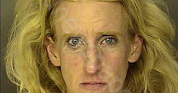 <B>ROBERTS</B>, <B>JESSICA</B> <B>ANN</B> CAHN #, Horry County, South Carolina - 2024-09-23 17:53:00