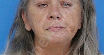 FLORES, LORETTA LEIGH | 2024-09-23 09:25:00 Sullivan County, Tennessee Booking