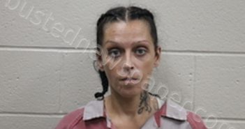TIFFANY RENEE STALPORT | 2024-09-23 08:54:00 Andrew County, Missouri Booking