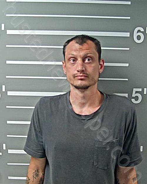 COOK, DAVID P #, Montgomery County, Illinois - 2024-09-23 21:34:44