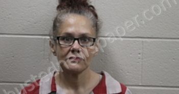 CATHERINE E REESE | 2024-09-23 08:52:00 Andrew County, Missouri Booking