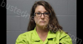 JOHNS, AMBER MICHELLE | 2024-09-23 11:45:00 Cooper County, Missouri Booking