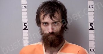 WISER, TYLER DENNIS | 2024-09-24 11:57:00 Gratiot County, Michigan Booking