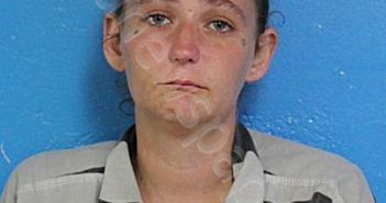 SHEPARD, MINNIE ELIZABETH | 2024-09-24 15:31:07 Sullivan County, Tennessee Booking