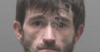 POTTER, ROSS ALEXANDER | 2024-09-24 New Hanover County, North Carolina Booking