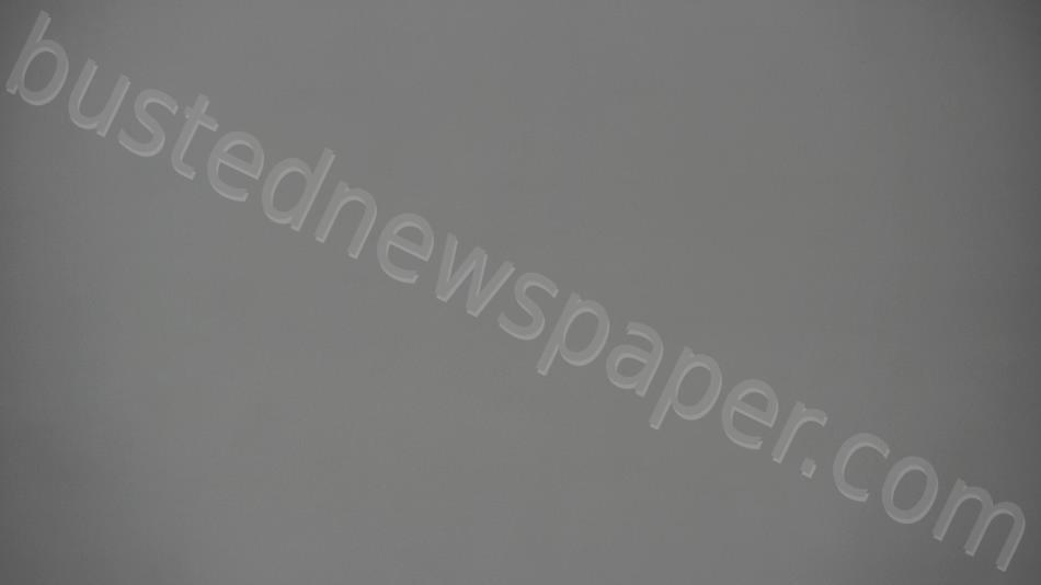 Gammon, Kayla 20240924 173824 Vigo County, Indiana Booking