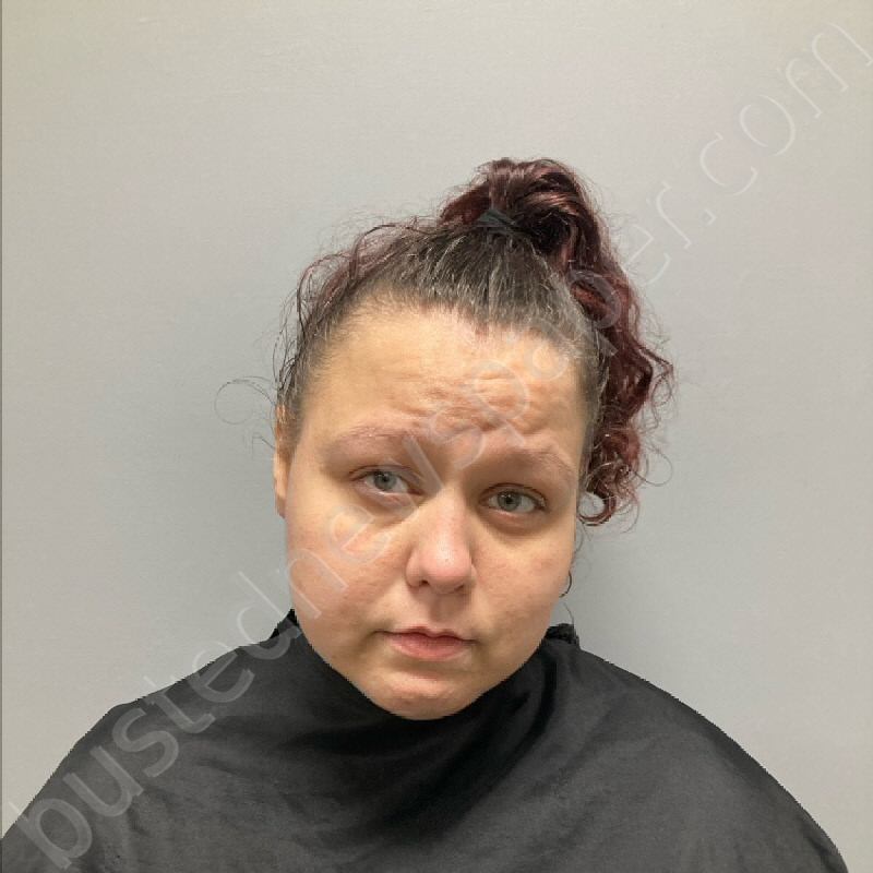 KASIE LANE JOYCE #, Henry County, Virginia - 2024-09-24 21:10:00