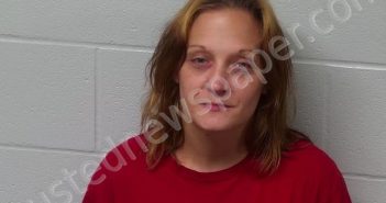 HARPER-REED, SHAWNA LYNN | 2024-09-25 17:44:29 Fayette County, Ohio Booking