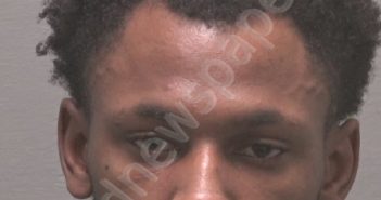DESCHAMPS, KENLEY LAMONZIE D | 2024-09-26 New Hanover County, North Carolina Booking
