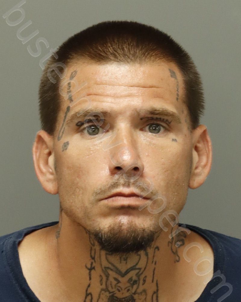 Winston, Joshua Crockett 20240926 112700 Wake County, North