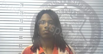 <B>WALKER</B>, <B>KADIN</B> <B>JACOB</B> #, Harrison County, Mississippi - 2024-09-27 18:26:00