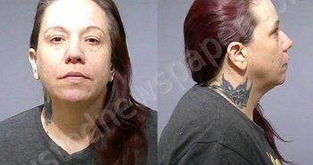 WARD, STACEY NICOLE | 2024-09-27 17:06:00 Kendall County, Illinois Booking