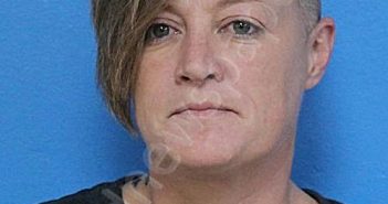 HOPKINS, VALERIE ROXANNE | 2024-09-27 20:34:00 Sullivan County, Tennessee Booking