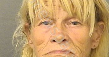<B>JOHNSON</B>, <B>SUSAN</B> <B>LYNN</B> #, Palm Beach County, Florida - 2024-09-27 13:50:00