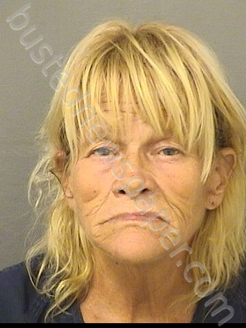 JOHNSON, SUSAN LYNN #, Palm Beach County, Florida - 2024-09-27 13:50:00