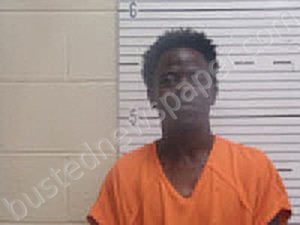 CRENSHAW, DARIUS TERRELL | 2024-09-28 Butler County, Alabama Booking