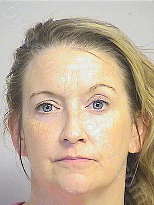 Brownlee 20240928 Tuscaloosa County, Alabama Booking