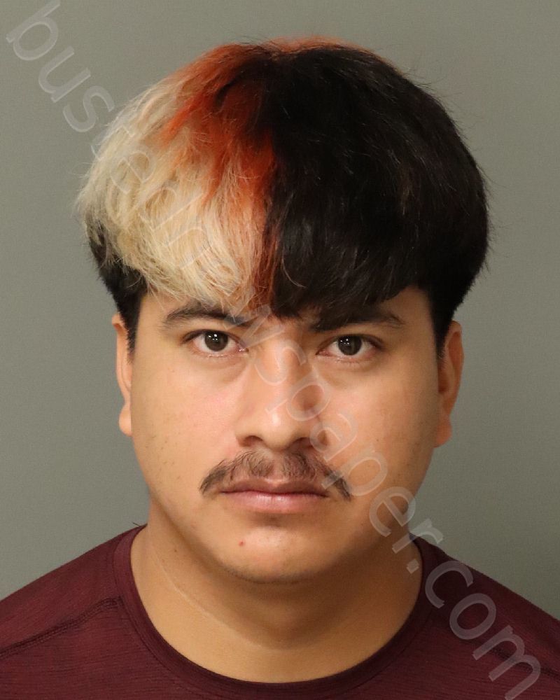 MORALES-AGUSTIN, HERBERTH VIG #, Wake County, North Carolina - 2024-09-28 03:00:00
