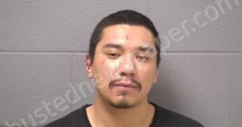 MASCOTE, JOSE LUIS | 2024-09-29 05:00:00 Will County, Illinois Booking