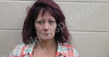 TRINITY ILENE PANNING | 2024-09-30 Andrew County, Missouri Booking
