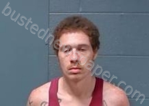 DAKOTA RAY- ALLEN ROBINSON #, Callaway County, Missouri - 2024-09-30 12:08:00