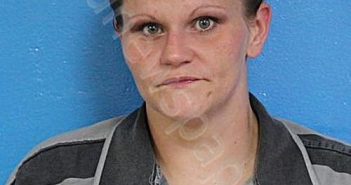 <B>BROWN</B>, <B>NATASHA</B> RENEE #, Sullivan County, Tennessee - 2024-09-30 06:52:43