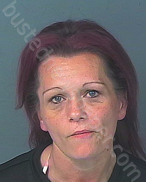 PERKINS LITTLEFIELD, JESSICA LYNN #, Hernando County, Florida - 2024-10-01 21:25:00
