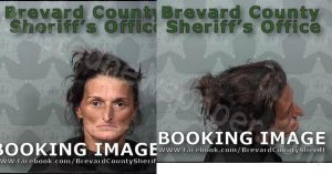 BAKER, CARRI D | 2024-10-01 15:00:00 Brevard County, Florida Booking