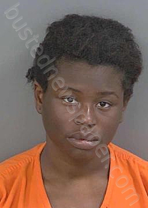 VOLTAIRE,MARY JENNIFER #, Collier County, Florida - 2024-10-01