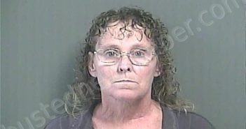 GAVIN, TERRIE A. | 2024-10-02 15:11:00 Knox County, Indiana Booking