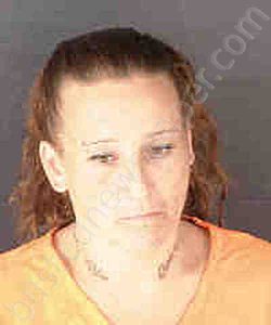 SIMMONS, MICHELLE LEANN | 2024-10-02 Sarasota County, Florida Booking