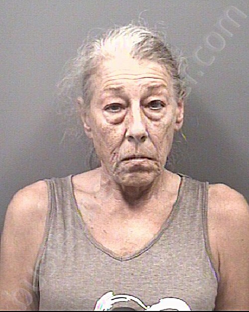 MANAHAN, CYNTHIA ANN #, Rowan County, North Carolina - 2024-10-04 20:18:00