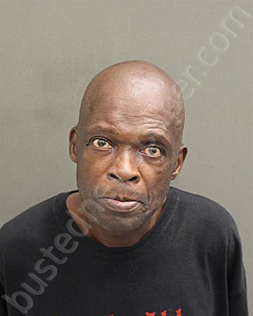 DOTSON, WILLIAM LOUIS #, Orange County, Florida - 2024-10-04 19:43:00