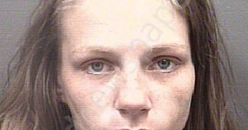 YOUNG, MAKAYLA TAPANGA | 2024-10-04 15:03:00 Rowan County, North Carolina Booking