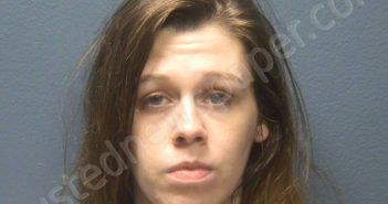 FISHBURNE, KASEY M | 2024-10-04 15:58:00 Sevier County, Tennessee Booking